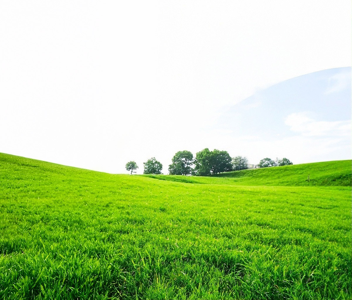Green Value